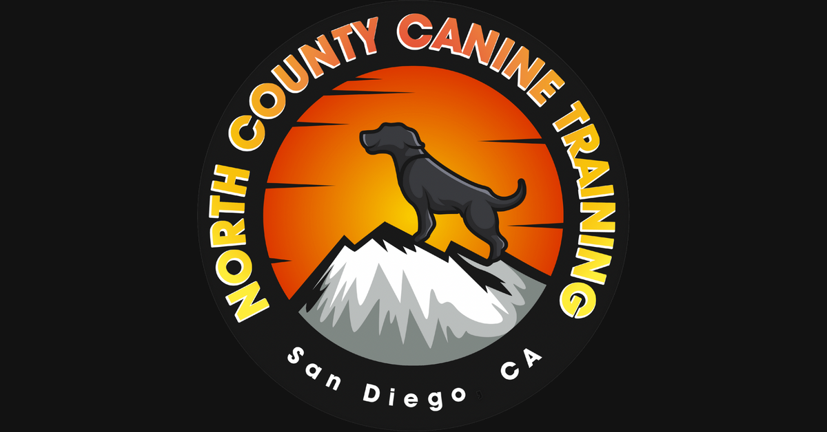 Board and Train Package 4 Weeks North County Canine Training