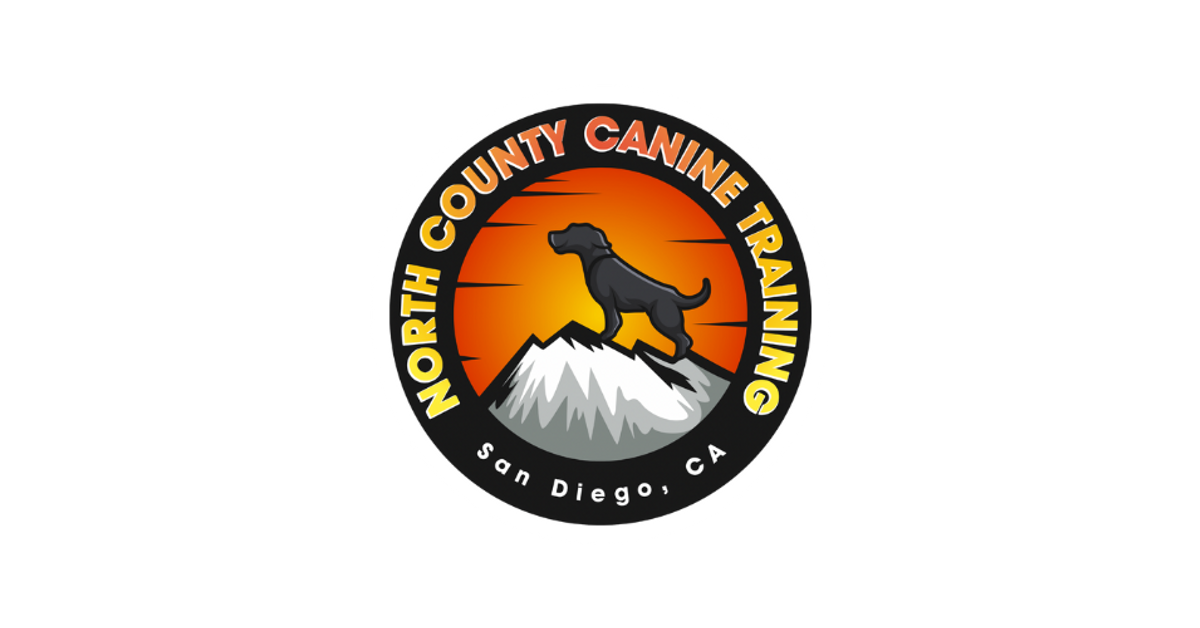 Board and Train Package 3 Weeks, On & Off Leash Obedience North